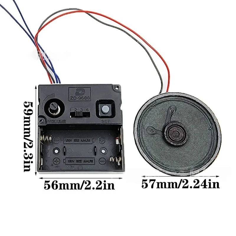 Creative Silent Pendulum Wall  - Luxury Watch China review and price