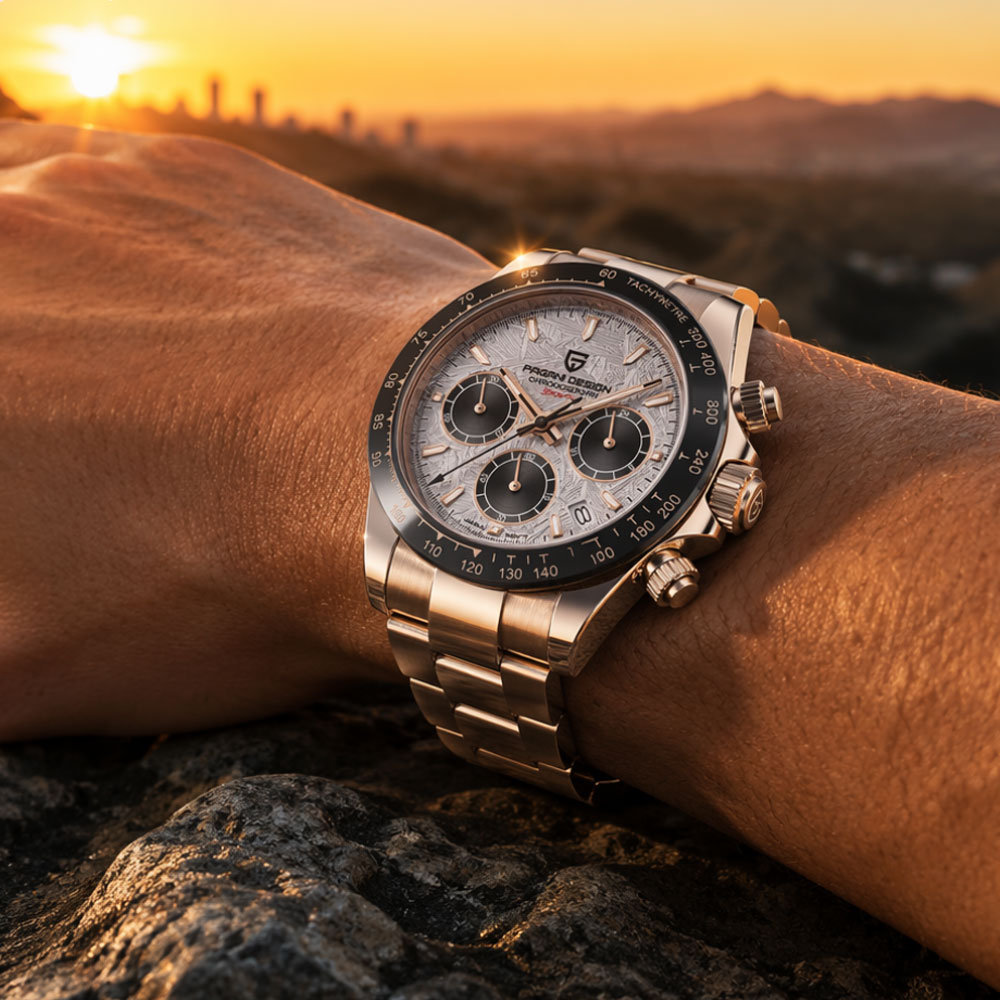 Top Brand PAGANI DESIGN Luxury - Luxury Watch Logo review and price